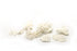Little Wonders Coral (7 Pieces)